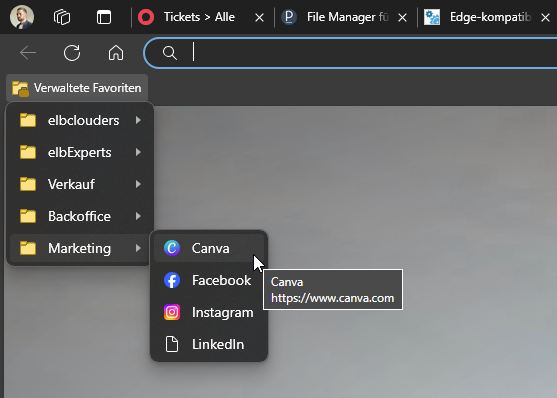 Browser-Favoritenmenü mit Sozialmediensymbolen